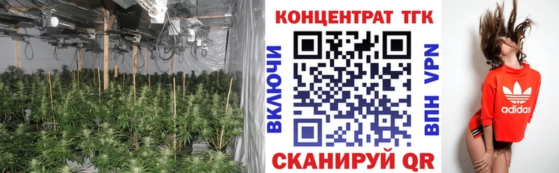 ТГК Wax Армавир