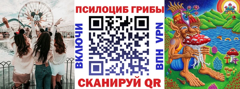 Галлюциногенные грибы Psilocybine cubensis  Армавир 