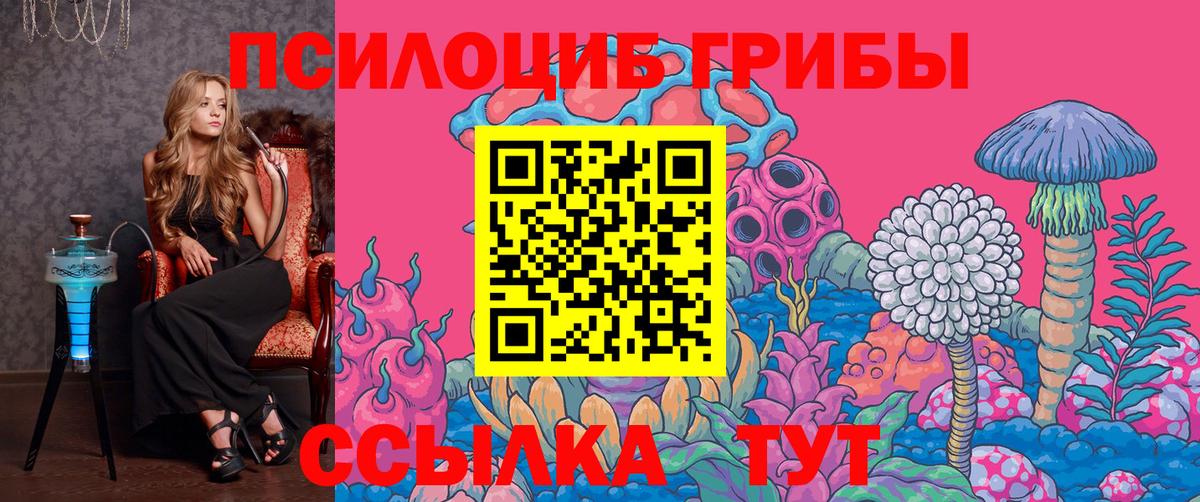 Псилоцибиновые грибы GOLDEN TEACHER Армавир